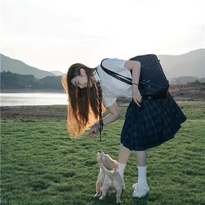 来自美国的莫里斯